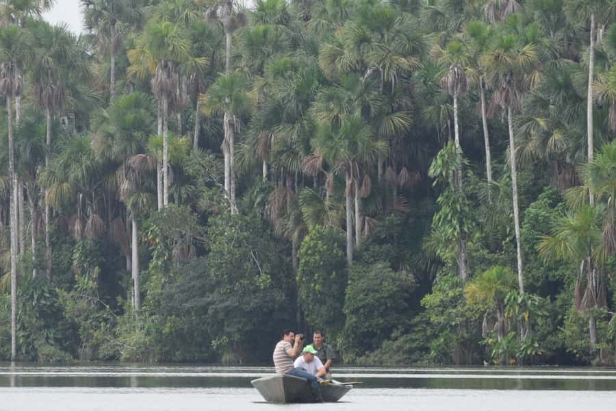 Puerto Maldonado: Sandoval Lake Full-Day Trip with Canoeing - The 55-minute walk into Tambopata National Reserve