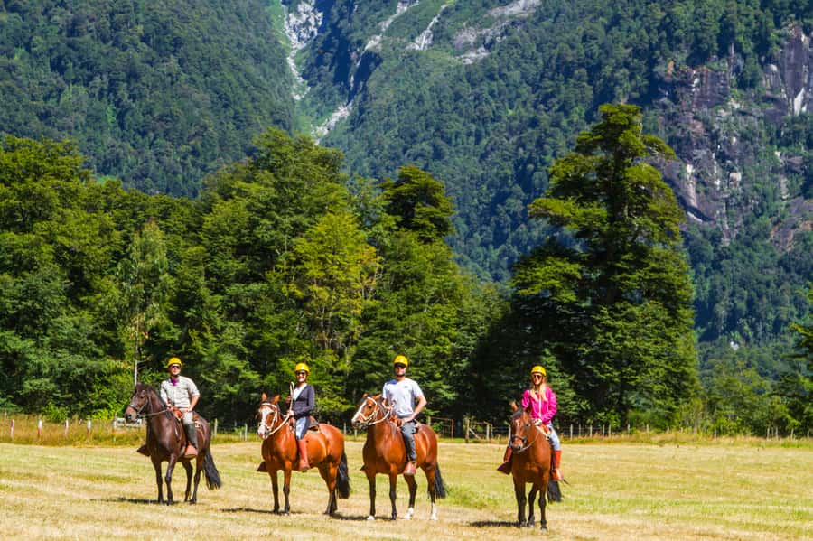Puerto Varas: Peulla Day Trip - The pace, comfort, and practical limits