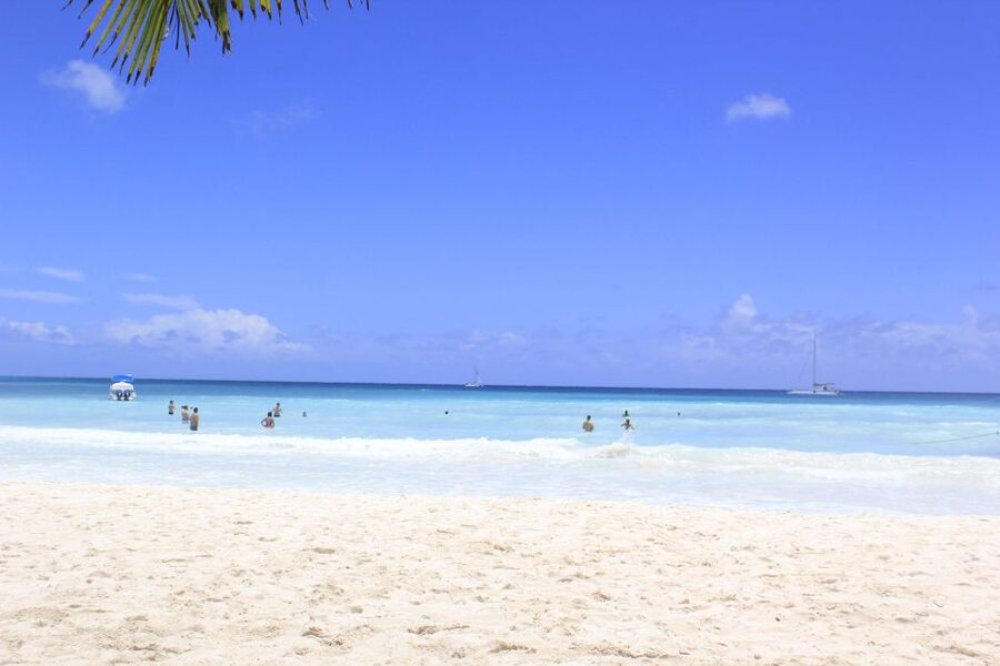 Punta Cana: Saona Island and Altos de Chavón Day Trip - Practical ways to make the day better