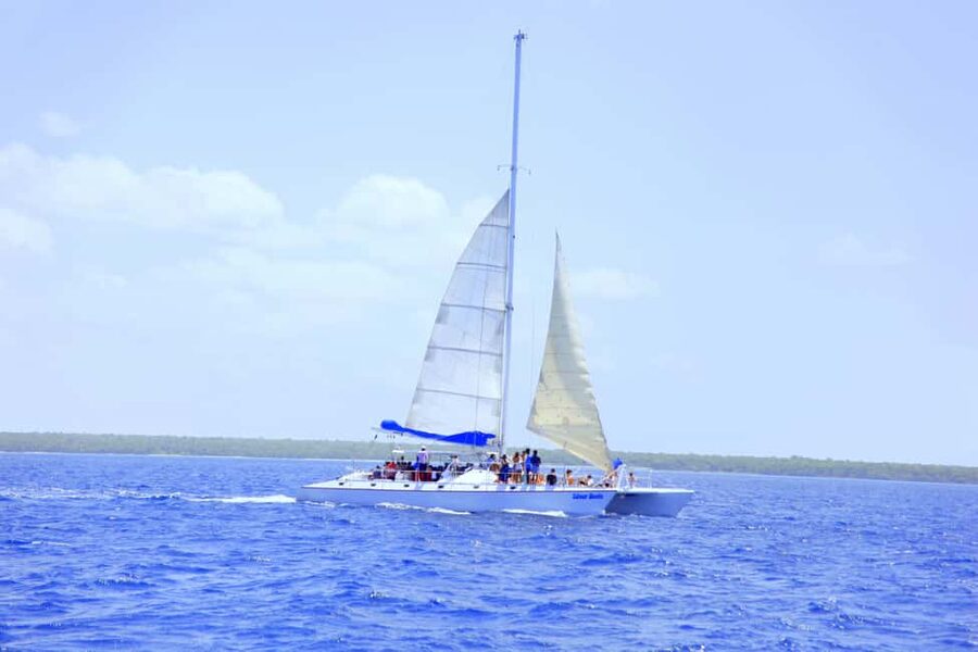 Punta Cana: Saona Island and Altos de Chavón Day Trip - Saona Island: the main event