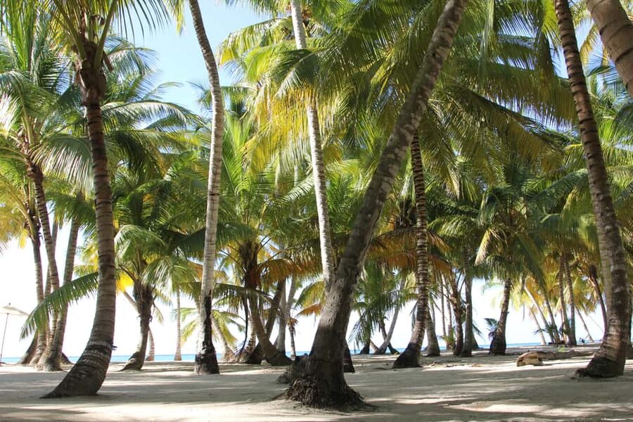 Punta Cana: Saona Island and Altos de Chavón Day Trip - What $92 includes, and what it does not