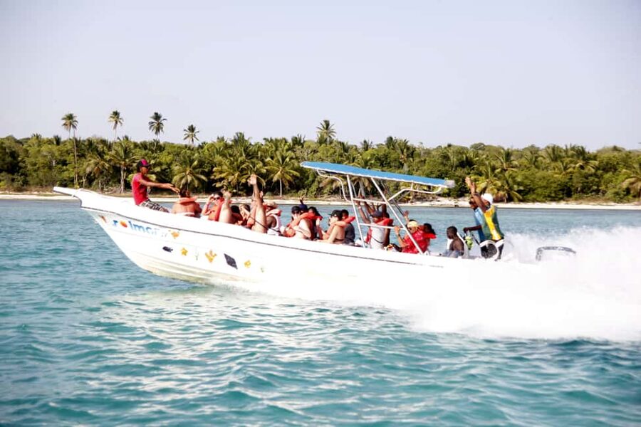Punta Cana: Saona Island and Altos de Chavón Day Trip - Who should book this excursion