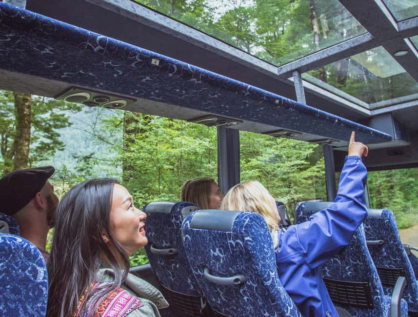 Queenstown: Milford Sound Coach & Cruise Full-Day Trip - Scenic stops that make the coach ride worthwhile