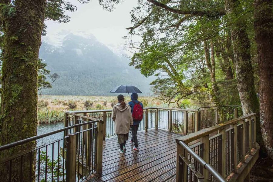 Queenstown: Milford Sound Coach & Cruise Full-Day Trip - Waterfalls, rainforest, and wildlife from the water