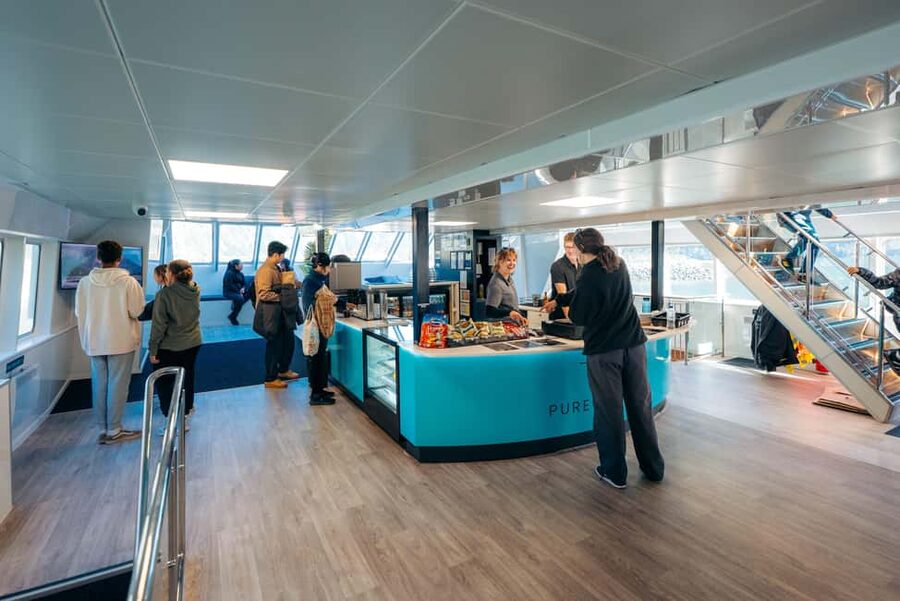 Queenstown: Milford Sound Coach & Cruise Full-Day Trip - Lunch, tea, and what the $144 price really covers
