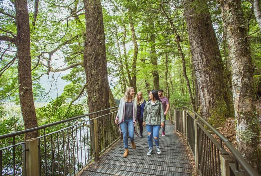 Queenstown: Milford Sound Coach & Cruise Full-Day Trip - Starting in Queenstown and heading toward Te Anau