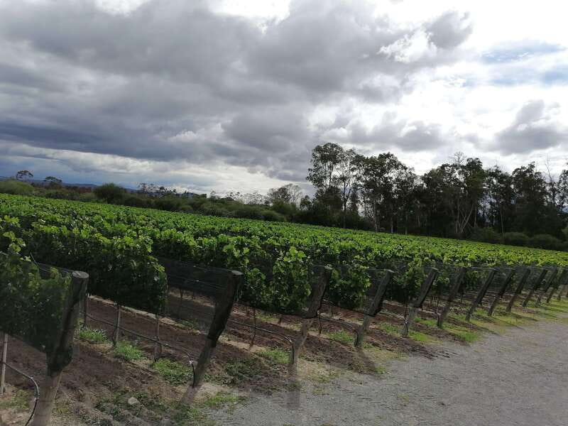 Querétaro: Haciendas, Vineyards, and Magical Towns Day Trip - The van ride and the pace of a 10-hour day