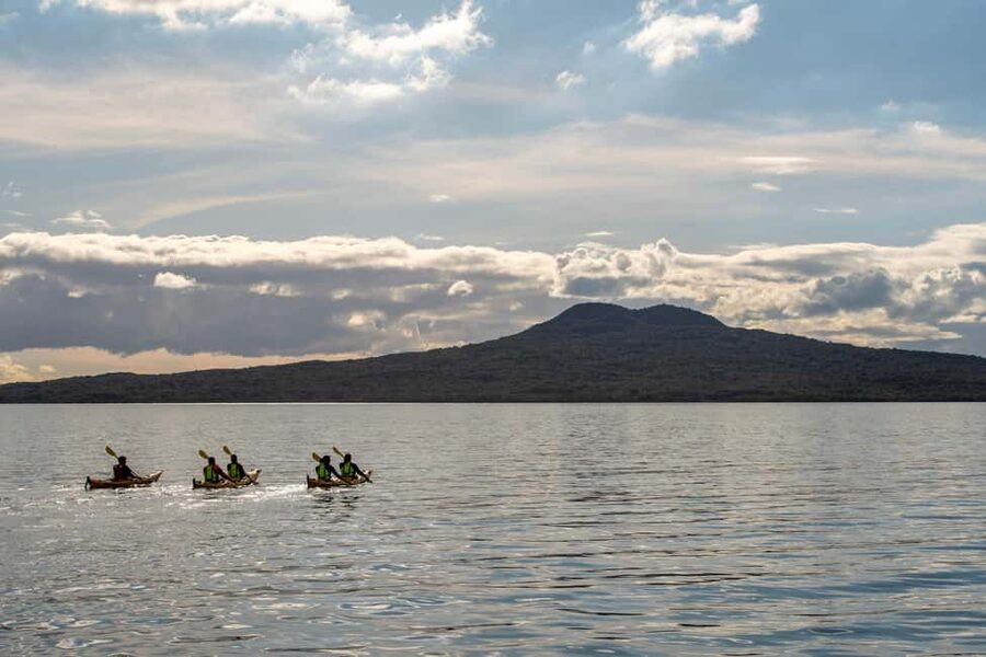 Rangitoto Island: Sea Kayak & Summit Hike Day Trip - The St Heliers start and pickup choices