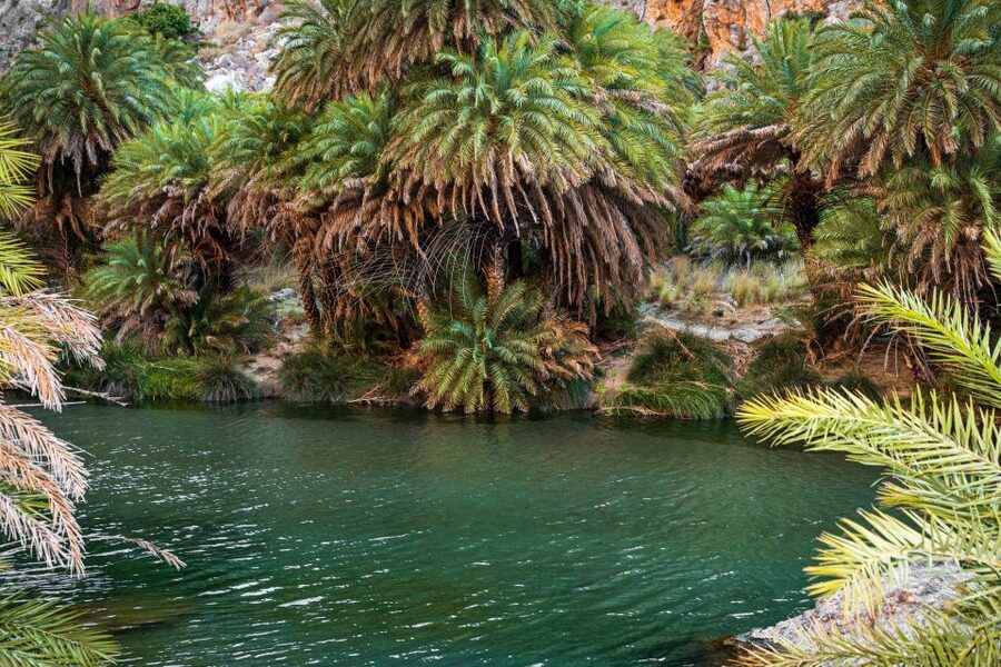 Rethymno: Preveli Beach Damnoni Beach Kourtaliotiko Day Trip - Is $25 good value for this Crete day trip?
