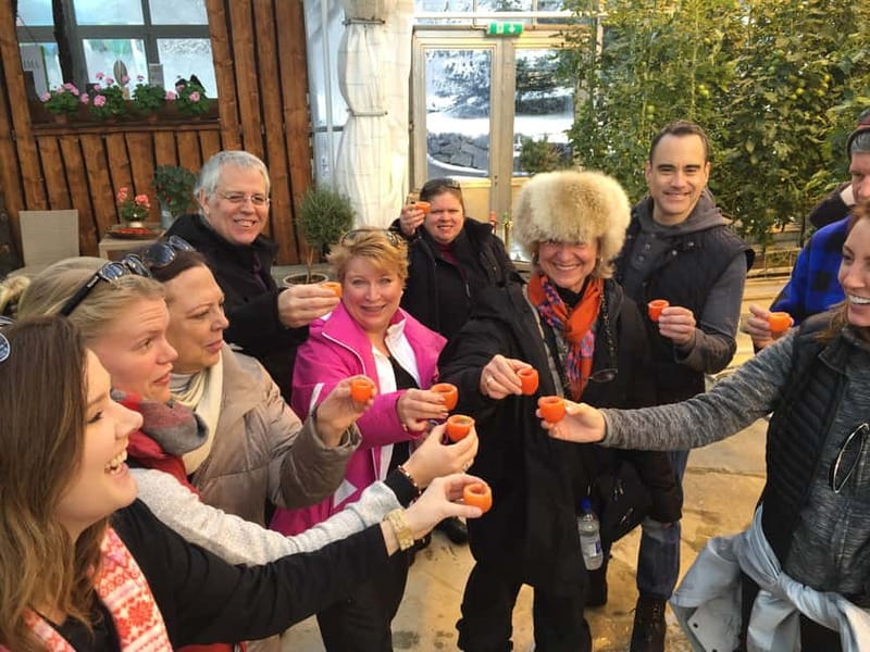 Reykjavik: Golden Circle, Fridheimar, & Sky Lagoon Day Trip - Fridheimar brings geothermal farming to the table