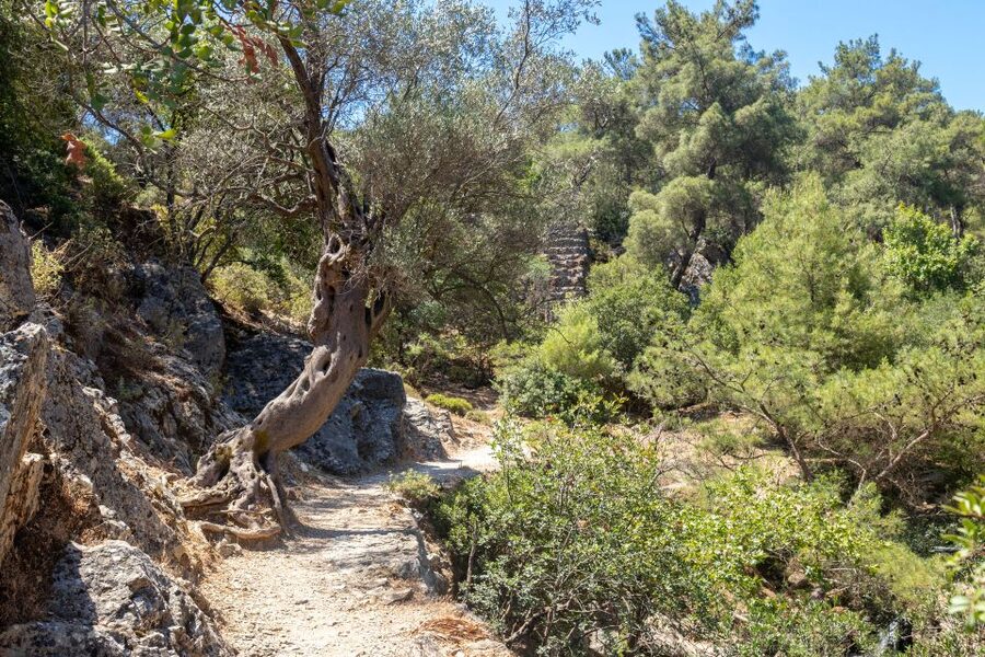 Rhodes: Butterfly Valley and Seven Springs Valley Day Trip - Seven Springs, the tunnel, and the small lake