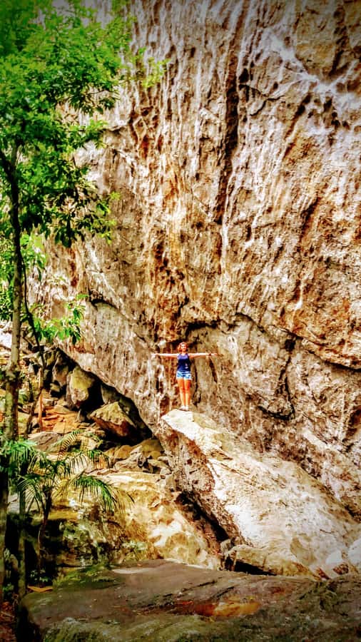 Rio de Janeiro: Tijuca Forest Challenge Hike Full-Day Trip - Small groups make the hard parts more manageable