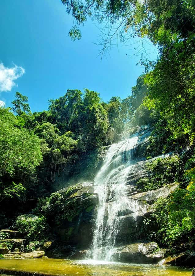 Rio de Janeiro: Tijuca Forest Challenge Hike Full-Day Trip - Climbing toward Taquara Hill and the first viewpoints