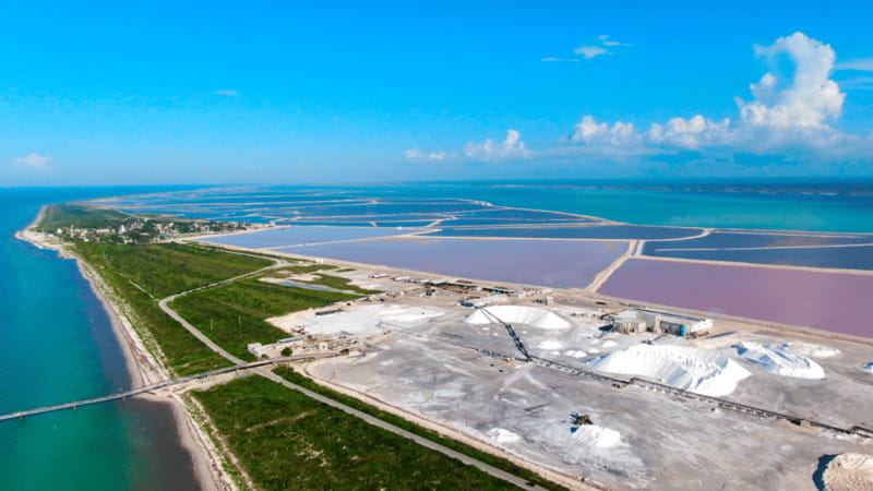 Riviera Maya: Rio Lagartos & Las Coloradas Day Trip w/Lunch - A 12-hour day needs careful planning