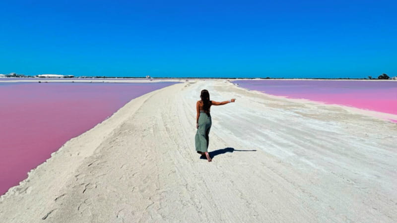 Riviera Maya: Rio Lagartos & Las Coloradas Day Trip w/Lunch - The Rio Lagartos boat ride