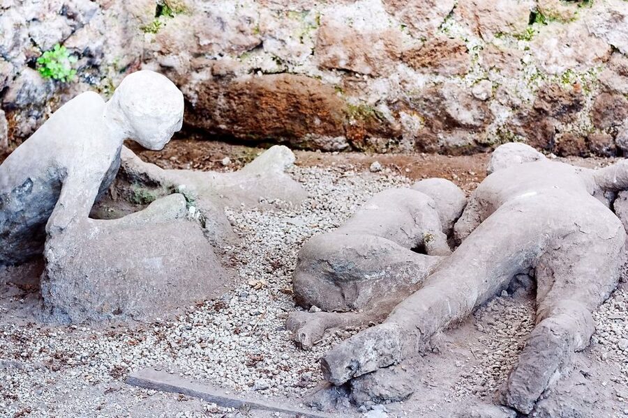 Rome: Pompeii and Naples Day Trip with Pompeii Entry Ticket - Who will enjoy this day trip most?
