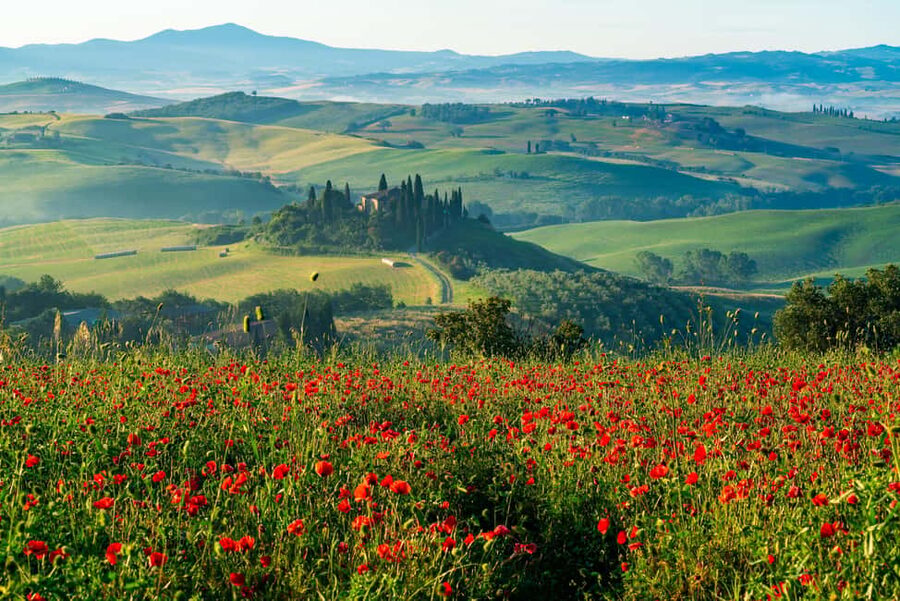 Rome: Tuscany & Montepulciano Day Trip with Lunch & Wines - San Biagio church, a quiet pause below town
