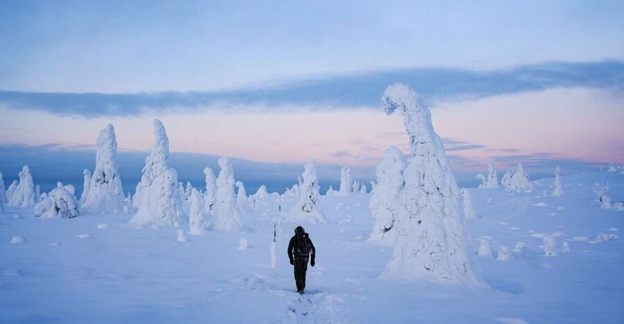 Rovaniemi: Riisitunturi National Park Day Trip with Lunch - Key points to know before you book