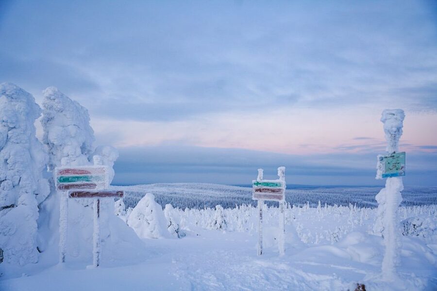 Rovaniemi: Riisitunturi National Park Day Trip with Lunch - A guide-led walk, not a race to the viewpoint