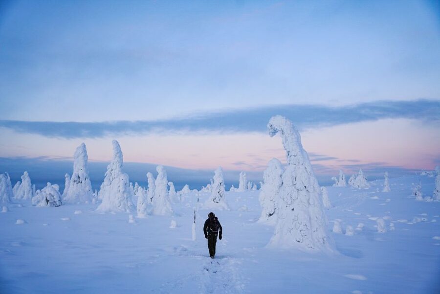 Rovaniemi: Riisitunturi National Park Day Trip with Lunch - Snowshoes, clothing, and the reality of Arctic cold