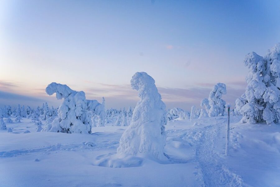 Rovaniemi: Riisitunturi National Park Day Trip with Lunch - Who will enjoy this day most?