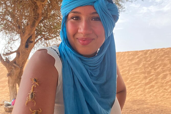 Sahara Day Trip from Agadir - Youssef Ibn Tachfine Dam and the high view