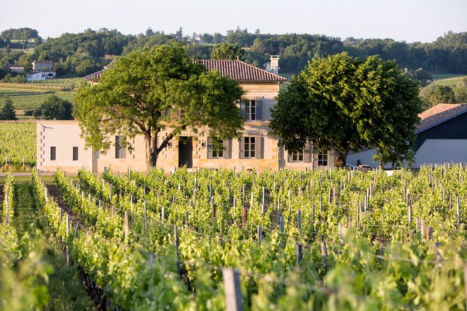 Saint Emilion Half-Day Trip with Wine Tasting & Winery Visit from Bordeaux - Is $133.02 a fair price?