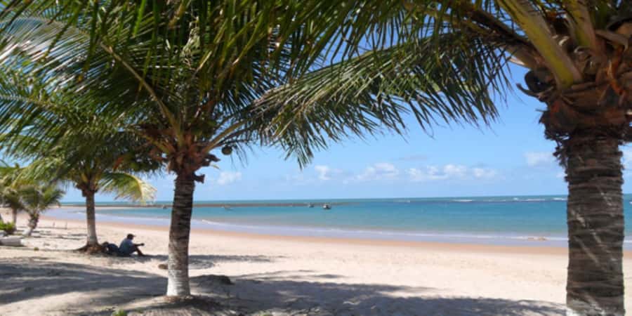 Salvador: Praia Do Forte and Guarajuba Beach Day Trip - How the schedule affects your day