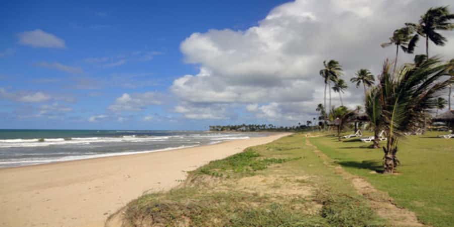 Salvador: Praia Do Forte and Guarajuba Beach Day Trip - Who should book this North Coast outing?