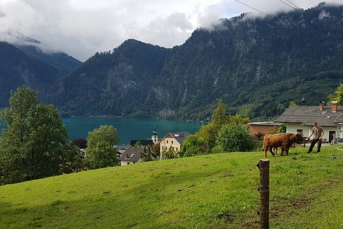Salzburg: Small-Group Day Trip from Vienna - Mirabell Palace and the Sound of Music