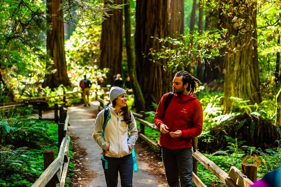 San Francisco: Muir Woods and Sausalito Half-Day Trip - Who should book this half-day outing
