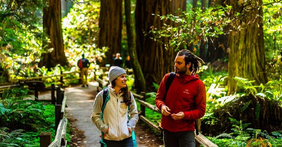 San Francisco: Muir Woods and Sausalito Half-Day Trip - The San Francisco pickup and ride north