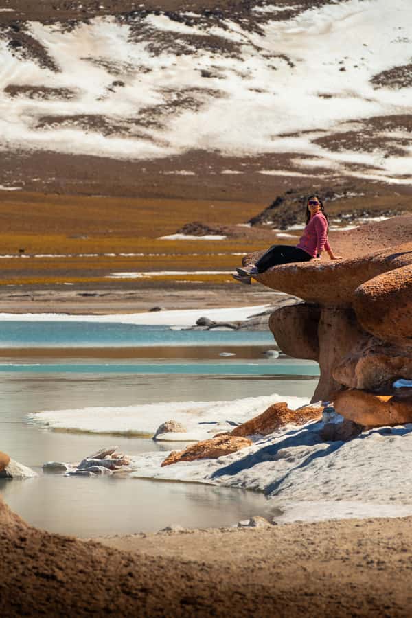 San Pedro de Atacama: Red Rocks & Altiplano Lagoons Day Trip - Key points to know before booking