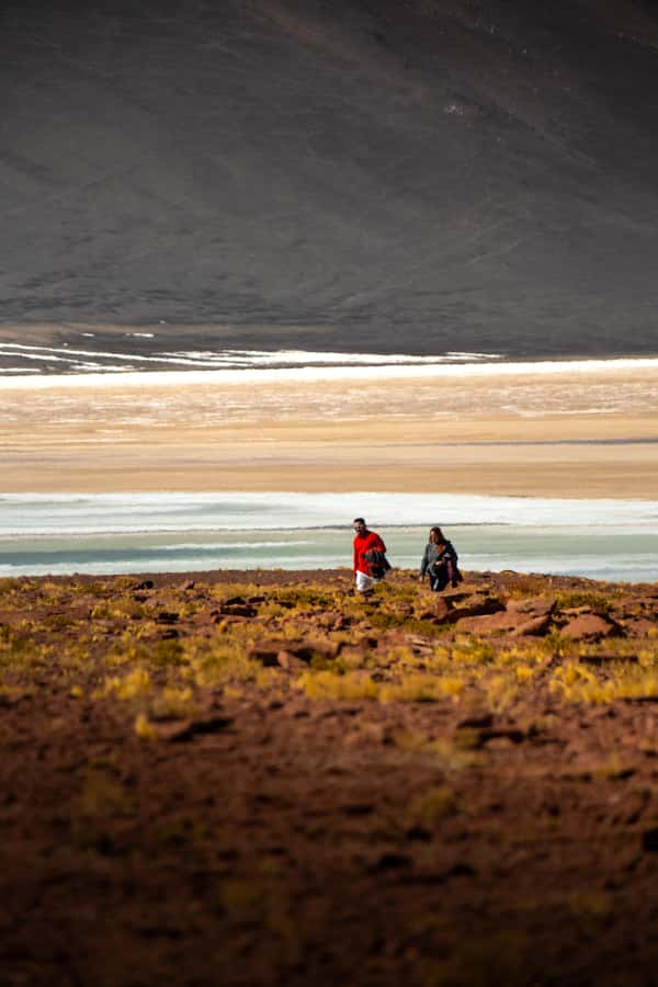 San Pedro de Atacama: Red Rocks & Altiplano Lagoons Day Trip - A practical lunch break in the desert