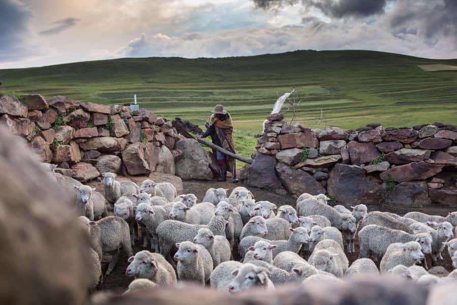 Sani Pass Day Tour from Underberg - Lunch at Lesotho’s highest pub