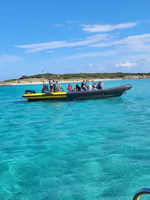 Santa-Giulia: Half-day trip, Lavezzi Islands and Bonifacio cliffs - Key points to know before you book