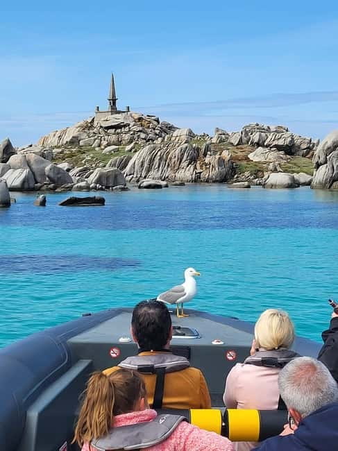 Santa-Giulia: Half-day trip, Lavezzi Islands and Bonifacio cliffs - Bonifacio’s cliffs and caves from the water