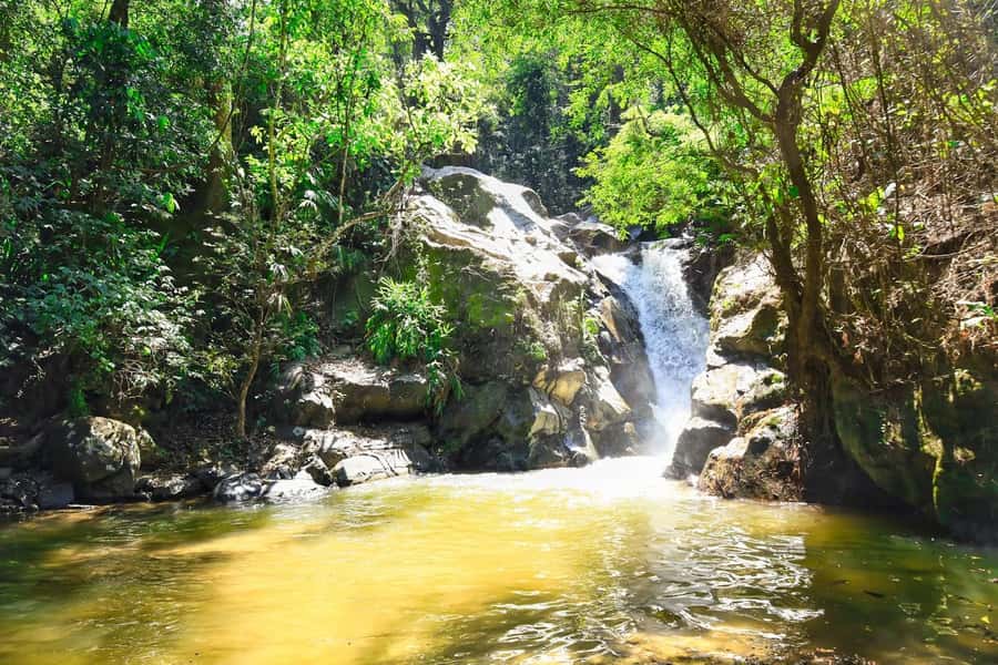 Santa Marta: Minca Coffee, Cocoa, & Waterfall Full-Day Trip - A cool hour at the Minca River pools