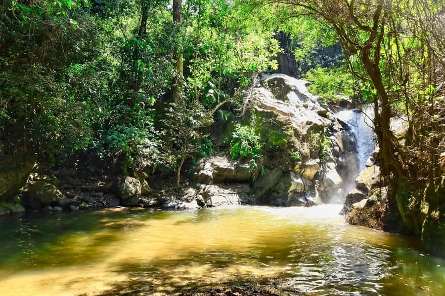 Santa Marta: Minca Coffee, Cocoa, & Waterfall Full-Day Trip - Lunch in a bamboo restaurant above town