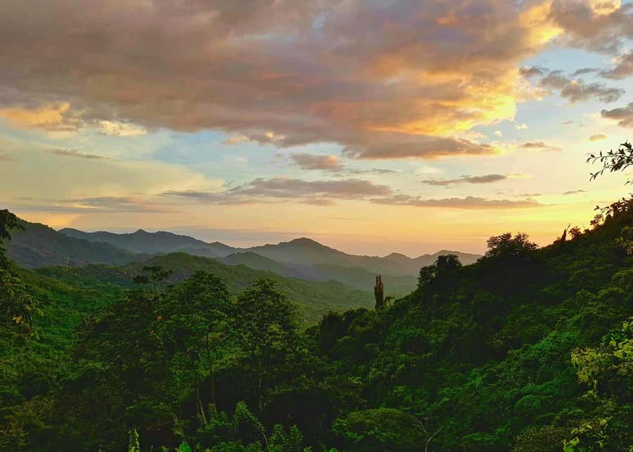 Santa Marta: Minca Coffee, Cocoa, & Waterfall Full-Day Trip - Cocoa becomes chocolate