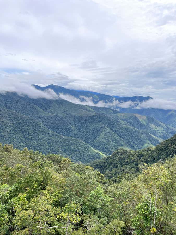 Santa Marta: Minca Coffee, Cocoa, & Waterfall Full-Day Trip - What the $78 price really covers