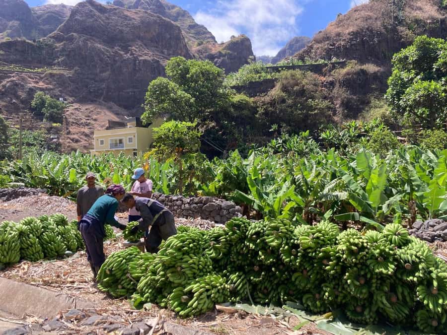 Santo Antão Highlights: Day Trip by Car with Ferry from SV - Why Santo Antão deserves a day from São Vicente