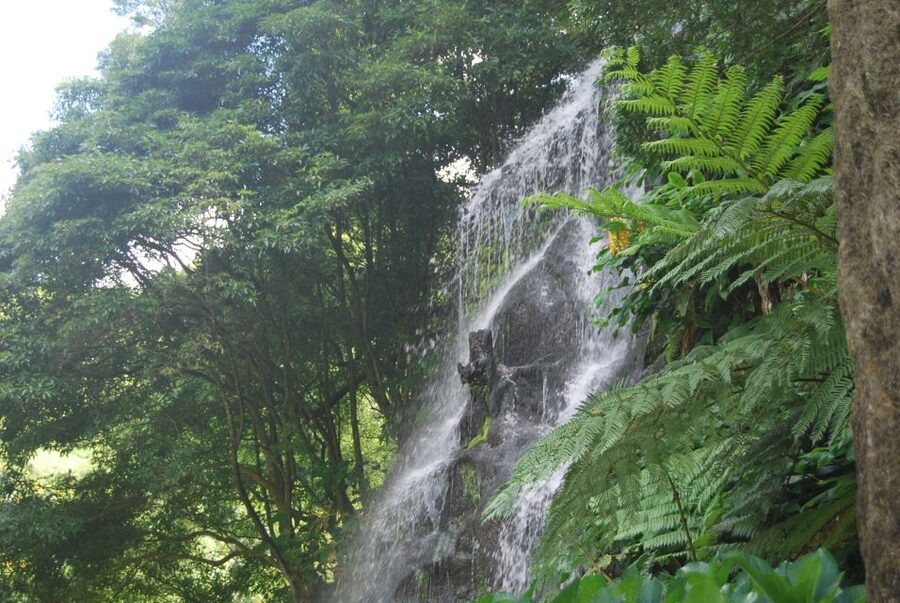 São Miguel: Nordeste, Cliffs & Waterfall Day Trip with Lunch - Why Nordeste deserves a full day