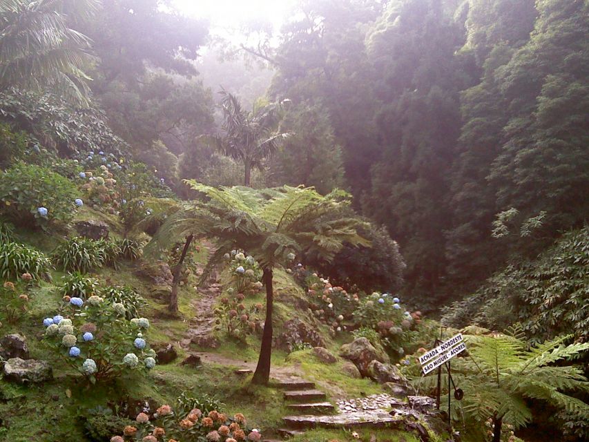 São Miguel: Nordeste, Cliffs & Waterfall Day Trip with Lunch - Pickup in Ponta Delgada and the road north