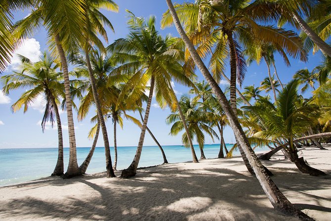 Saona Island Day Trip From Punta Cana with Lunch and Open Bar - Key things to know before booking