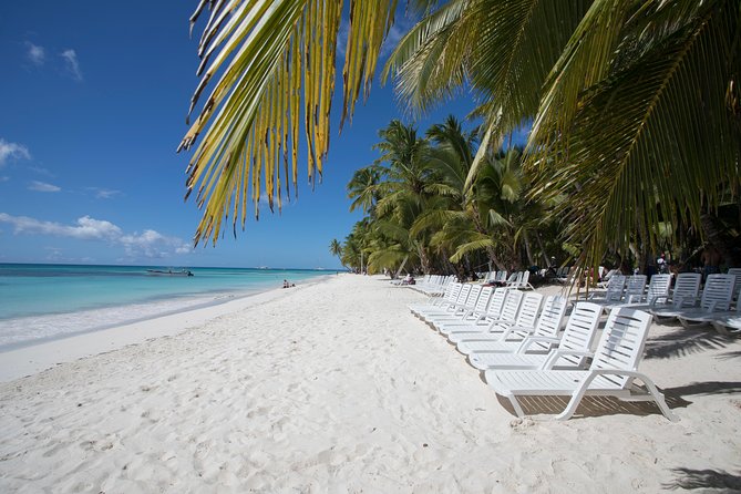 Saona Island Day Trip From Punta Cana with Lunch and Open Bar - The early pickup and ride to Bayahibe