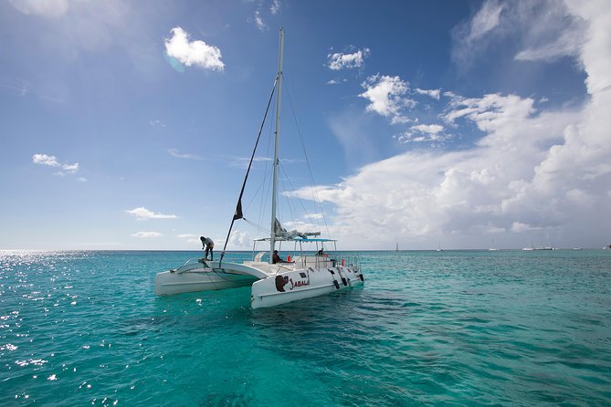 Saona Island Day Trip From Punta Cana with Lunch and Open Bar - The natural swimming pool and starfish stop