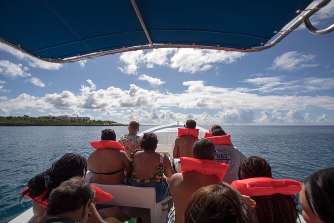 Saona Island Day Trip From Punta Cana with Lunch and Open Bar - What lunch and the open bar are really like