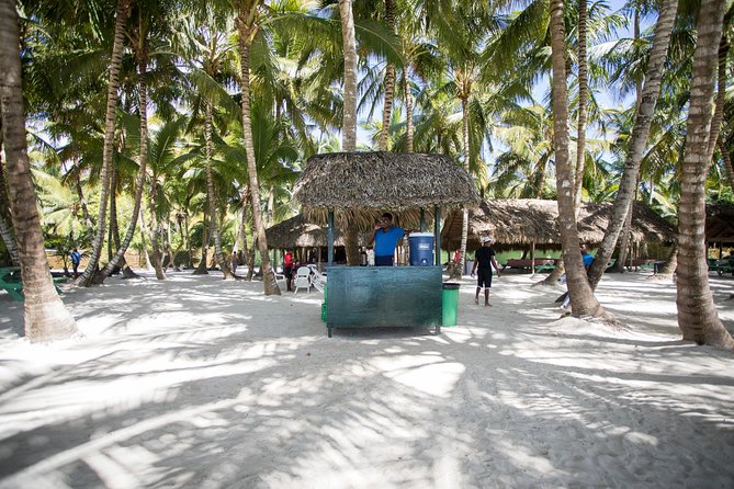 Saona Island Day Trip From Punta Cana with Lunch and Open Bar - The best parts of the experience