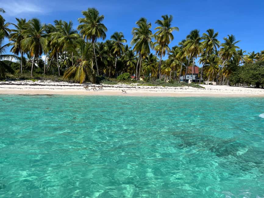 Saona Island: Small Group Virgin Beaches Cruise Day Trip - Lunch beside the Caribbean